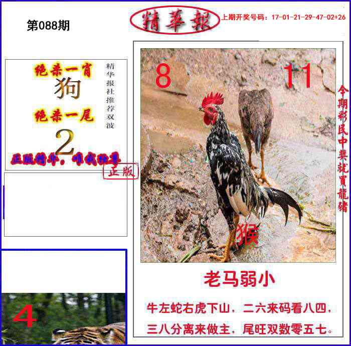 088期新精华报报[图]